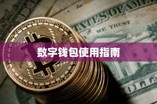 数字钱包使用指南