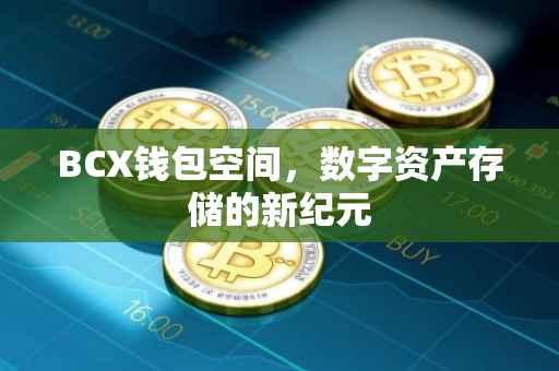 BCX钱包空间，数字资产存储的新纪元