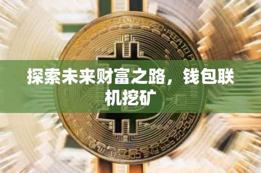 探索未来财富之路，钱包联机挖矿