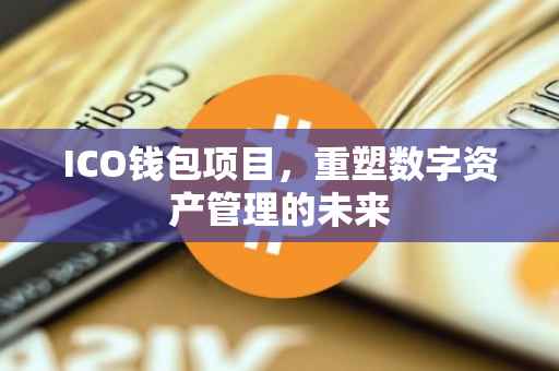 ICO钱包项目，重塑数字资产管理的未来