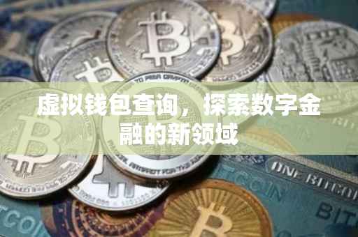 虚拟钱包查询，探索数字金融的新领域