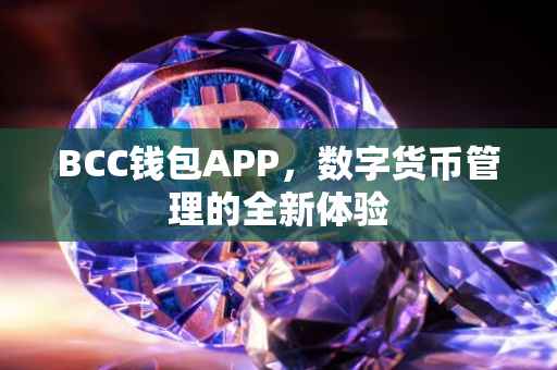 BCC钱包APP，数字货币管理的全新体验