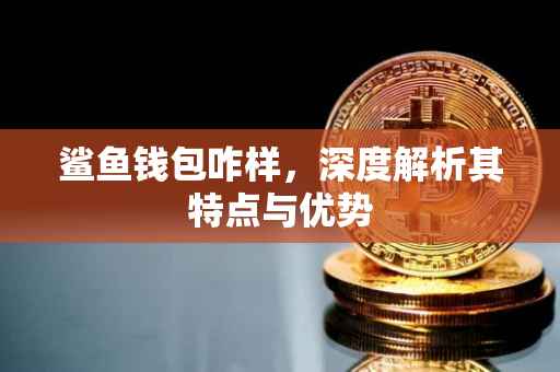 鲨鱼钱包咋样，深度解析其特点与优势