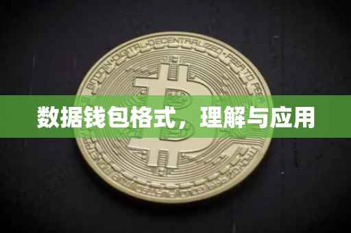 数据钱包格式，理解与应用