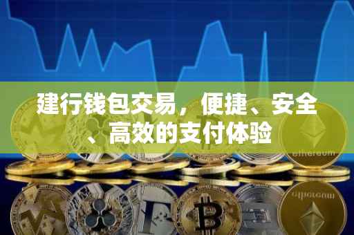 建行钱包交易，便捷、安全、高效的支付体验