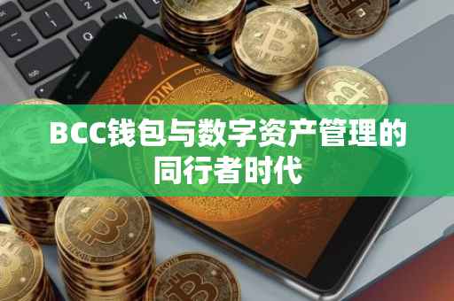 BCC钱包与数字资产管理的同行者时代