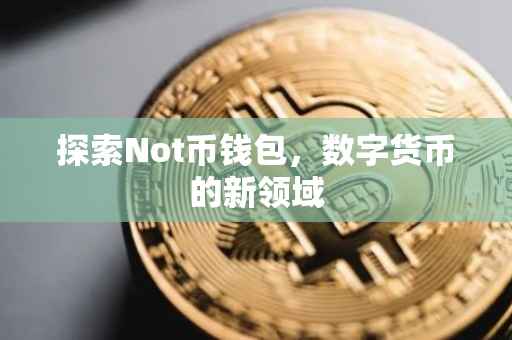 探索Not币钱包，数字货币的新领域