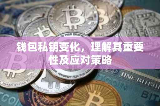 钱包私钥变化，理解其重要性及应对策略