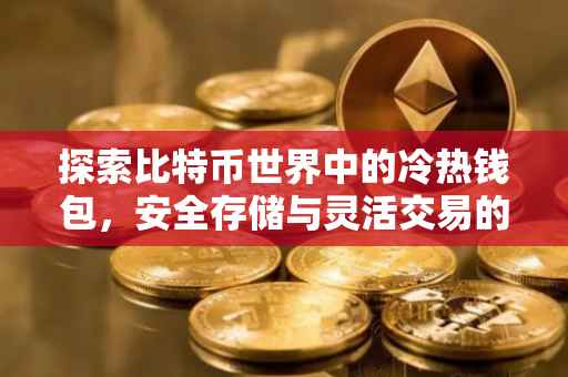 探索比特币世界中的冷热钱包，安全存储与灵活交易的权衡艺术