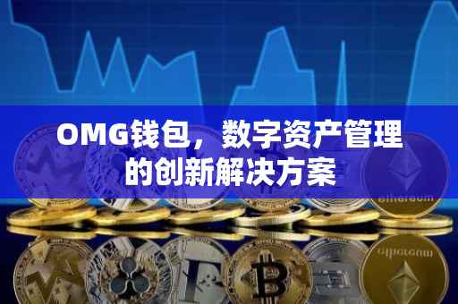 OMG钱包，数字资产管理的创新解决方案