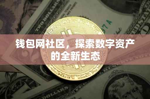 钱包网社区，探索数字资产的全新生态