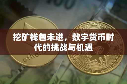 挖矿钱包未进，数字货币时代的挑战与机遇