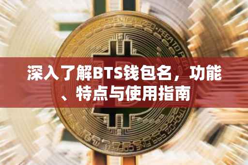 深入了解BTS钱包名，功能、特点与使用指南