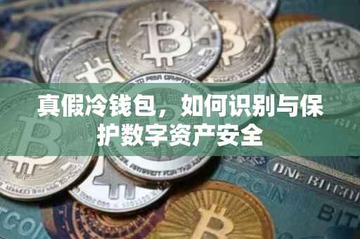 真假冷钱包，如何识别与保护数字资产安全