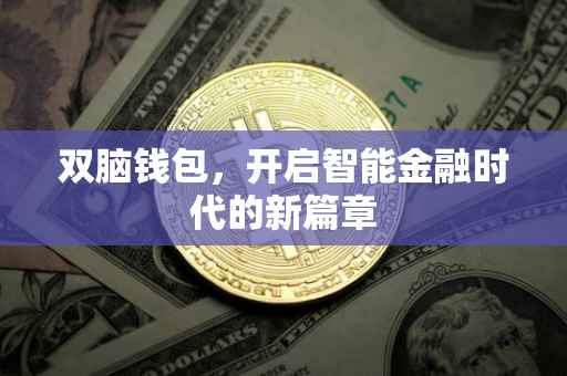 双脑钱包，开启智能金融时代的新篇章