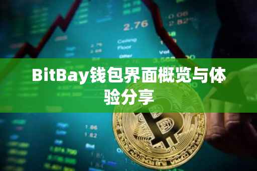 BitBay钱包界面概览与体验分享