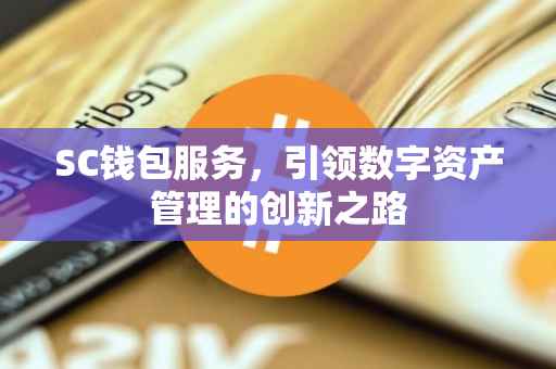 SC钱包服务，引领数字资产管理的创新之路