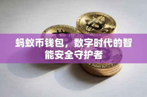 蚂蚁币钱包，数字时代的智能安全守护者
