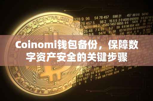 Coinomi钱包备份，保障数字资产安全的关键步骤