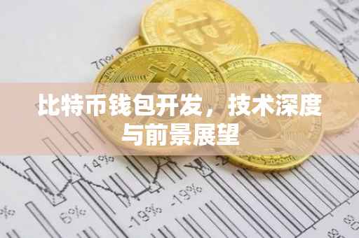比特币钱包开发，技术深度与前景展望