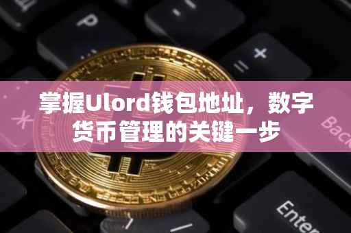 掌握Ulord钱包地址，数字货币管理的关键一步