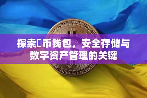 探索黒币钱包，安全存储与数字资产管理的关键