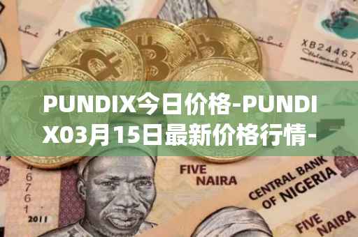 PUNDIX今日价格-PUNDIX03月15日最新价格行情-pundi-x-2最新走势消息