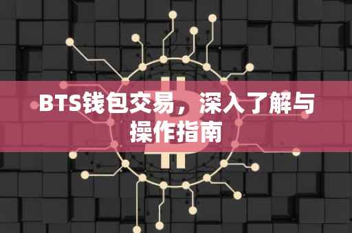 BTS钱包交易，深入了解与操作指南