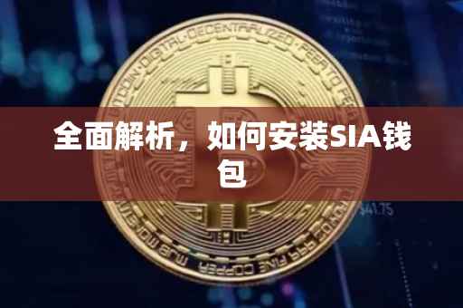 全面解析，如何安装SIA钱包