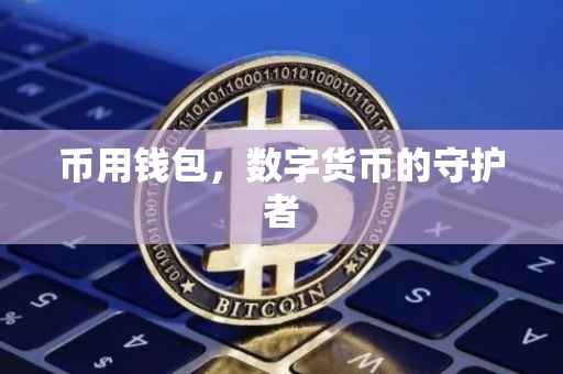 币用钱包，数字货币的守护者
