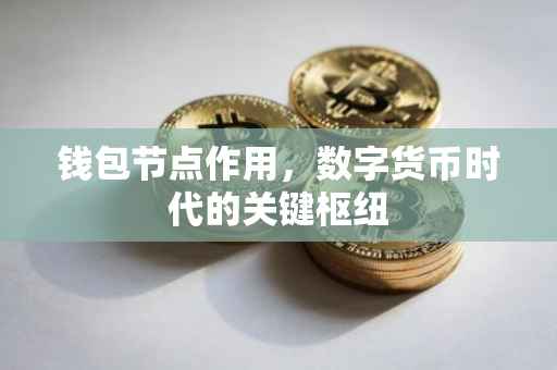 钱包节点作用，数字货币时代的关键枢纽