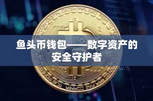 鱼头币钱包——数字资产的安全守护者