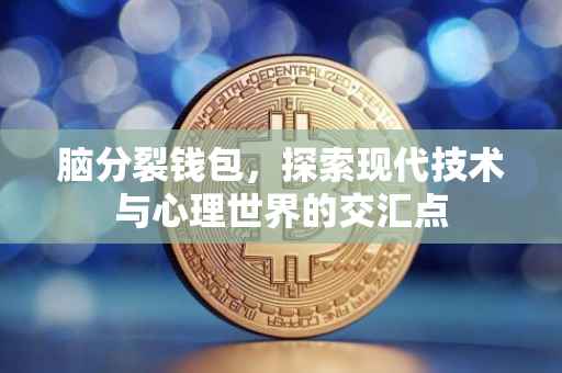 脑分裂钱包，探索现代技术与心理世界的交汇点