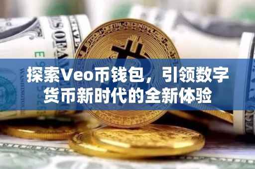探索Veo币钱包，引领数字货币新时代的全新体验