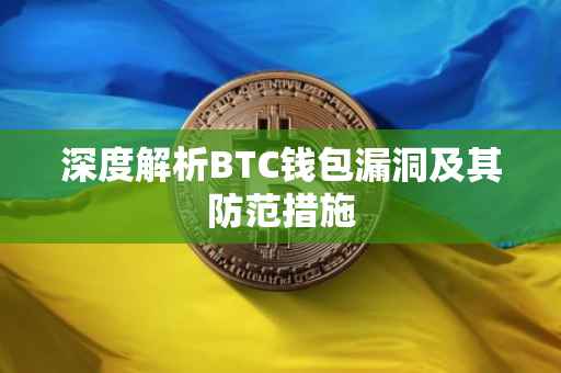 深度解析BTC钱包漏洞及其防范措施