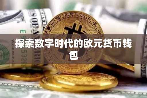 探索数字时代的欧元货币钱包