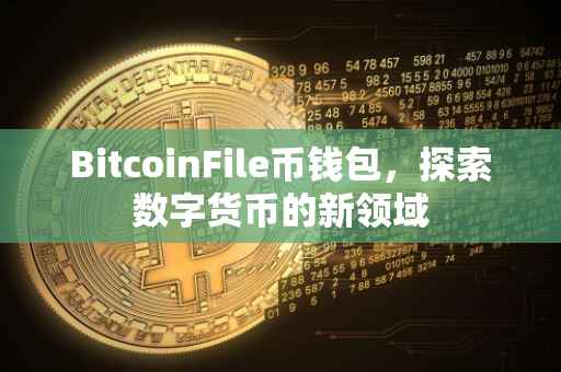 BitcoinFile币钱包，探索数字货币的新领域