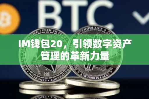 IM钱包20，引领数字资产管理的革新力量