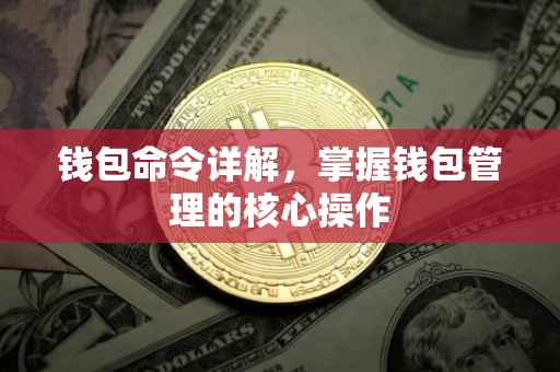 钱包命令详解，掌握钱包管理的核心操作