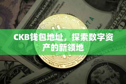 CKB钱包地址，探索数字资产的新领地