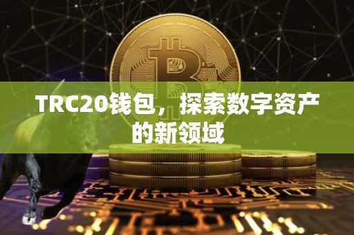TRC20钱包，探索数字资产的新领域