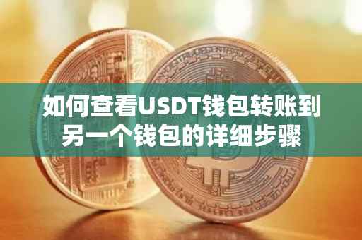 如何查看USDT钱包转账到另一个钱包的详细步骤
