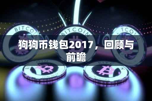 狗狗币钱包2017，回顾与前瞻
