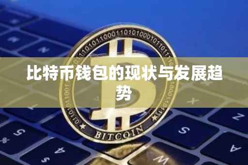 比特币钱包的现状与发展趋势
