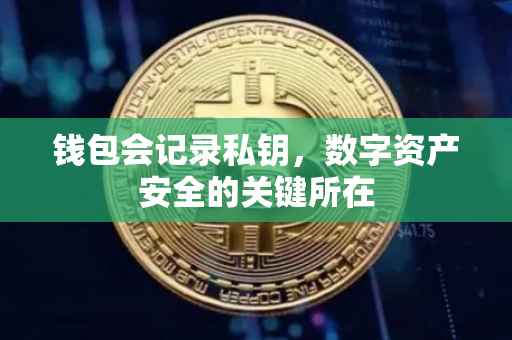 钱包会记录私钥，数字资产安全的关键所在