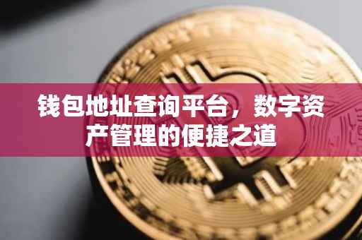 钱包地址查询平台，数字资产管理的便捷之道