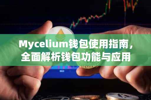 Mycelium钱包使用指南，全面解析钱包功能与应用