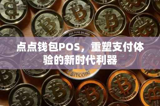 点点钱包POS，重塑支付体验的新时代利器