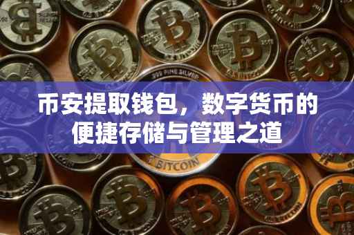 币安提取钱包，数字货币的便捷存储与管理之道