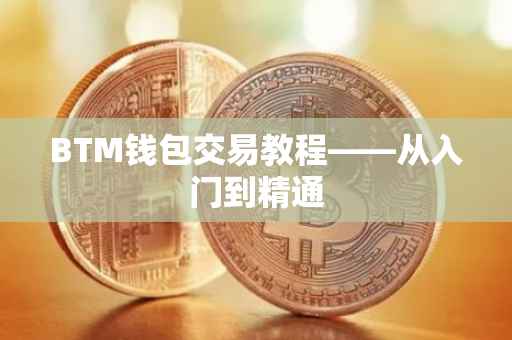 BTM钱包交易教程——从入门到精通